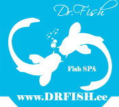 DrFish